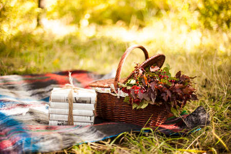 photo zone for an autumn photo shootの写真素材