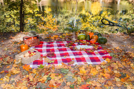 autumn still life with pumpkinsの写真素材