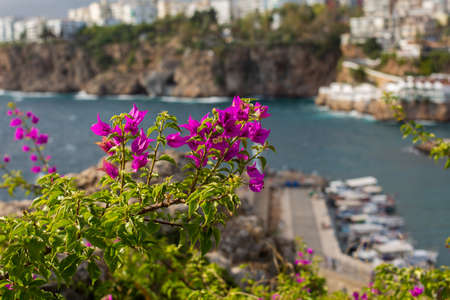 view of the marina in antalyaの写真素材