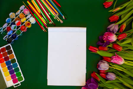 Tulips with watercolor blank paper and colored pencilsの写真素材