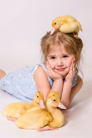 Girl in studio Lying With easter Ducklingsの写真素材