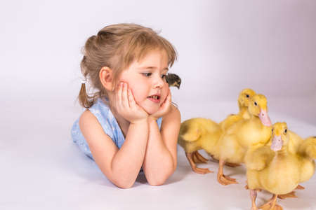 Girl in studio Lying With easter Ducklingsの写真素材
