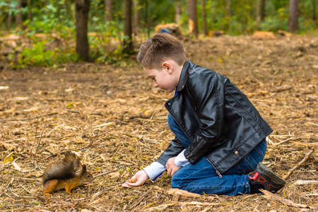 In the summer in the forest the boy feeds the squirrel with nuts