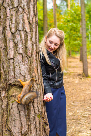 Beautiful young woman feeding a squirrel in an autumn parkの写真素材