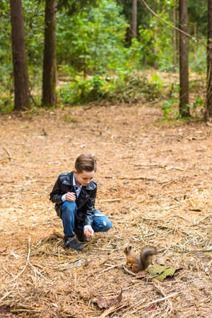 In the summer in the forest the boy feeds the squirrel with nutsの写真素材