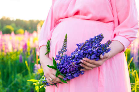 portrait of pregnancy girl in a blooming field in the sun at sunsetの写真素材