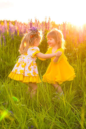 portrait of a girl in a blooming field in the sun at sunsetの写真素材