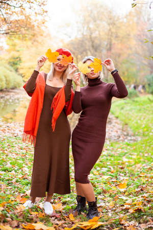 happy smiling womans holding in her hands yellow maple leavesの写真素材