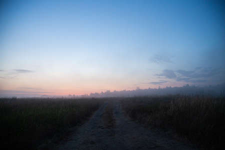 ground road into fog at summer sunrise