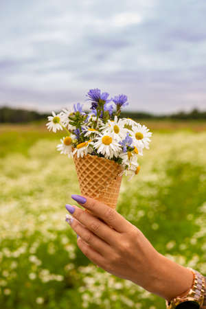 Beautiful flower in ice cream cone in girls hand