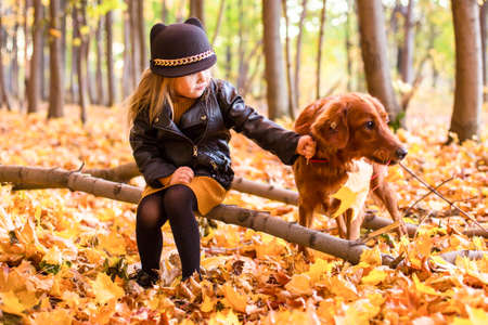 Beautiful family with a golden retriever dog on a walk in autumn sunny natureの写真素材