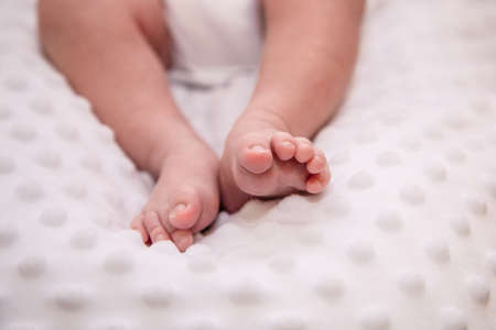 Handles and legs of the newborn babyの写真素材