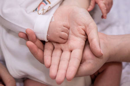 Handles and legs of the newborn babyの写真素材