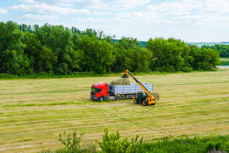A ranch worker moving bales of hay with a farm tractor on a ranch