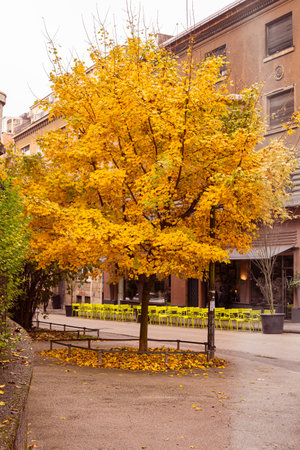 Zagreb historic upper town autumn view, croatia