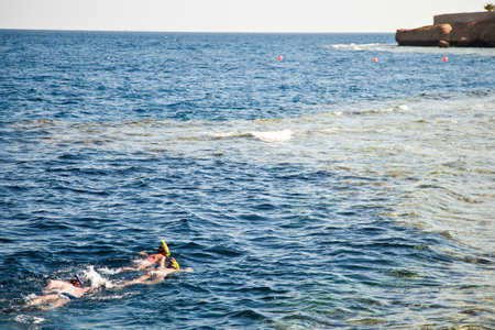Beautiful women snorkeling in the tropical seaの写真素材