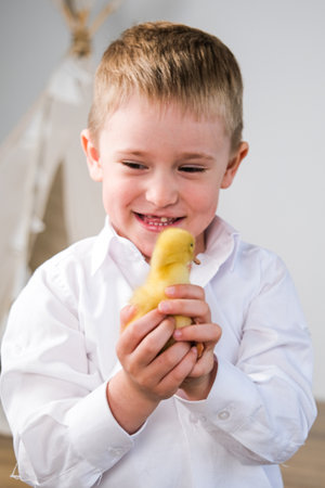 Cute child with little newborn chicks, enjoying, cute kid and animal friendの写真素材