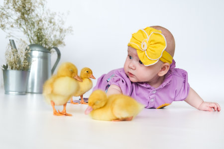 Cute child with little newborn chicks, enjoying, cute kid and animal friendの写真素材
