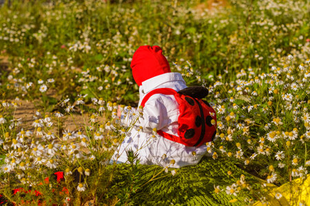 A little girl in embroidery stands in the field.の写真素材
