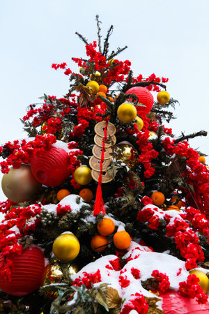 Chinese red lantern in the night of Chinese New Year of happiness. High quality photo