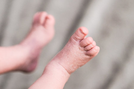 Feet of the newborn baby. High quality photoの写真素材