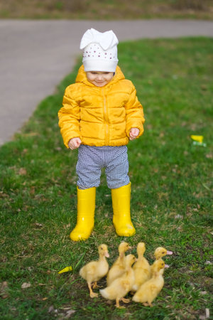 Cute baby girl with ducklings. High quality photoの写真素材