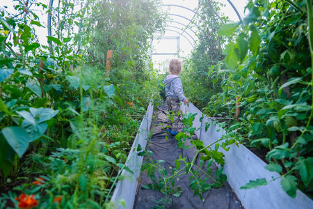 Little Girl Standing in Greenhouse. High quality photo