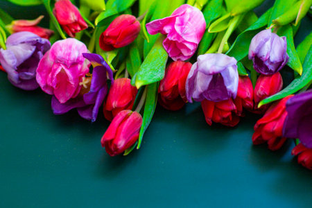 Bouquet of pink tulips on green background. Flat lay, top view, copy space. High quality photo