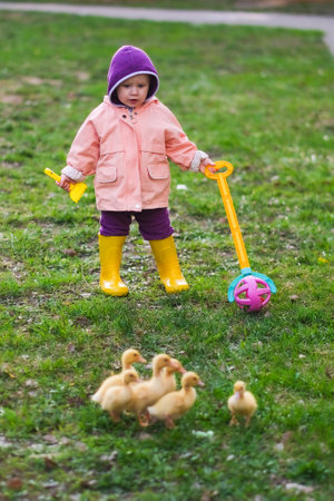 Cute baby girl with ducklings. High quality photoの写真素材