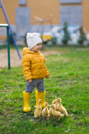 Cute baby girl with ducklings. High quality photoの写真素材