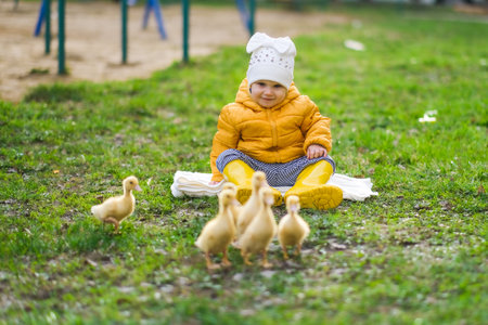 Cute baby girl with ducklings. High quality photoの写真素材