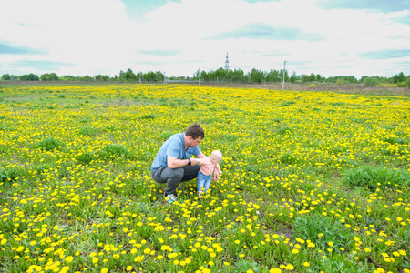 Sunny day on the field with blooming dandelions in natural park. High quality photoの写真素材