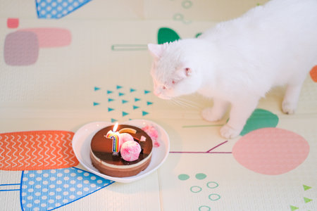 Baby girl celebrating her birthday with birthday cake. High quality photo