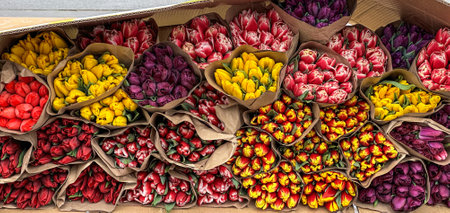 There are many different multi-colored tulips on the shelves of retail outlets. High quality photoの写真素材