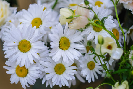 A bunch of white flowers with yellow centers. The flowers are arranged in a bouquet and are placed in a vase. The bouquet is full of flowers and has a bright and cheerful appearanceの写真素材