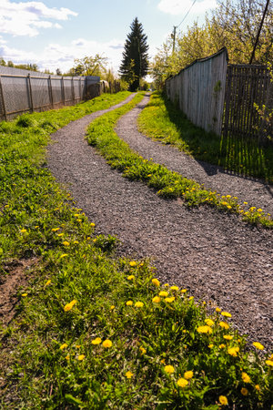 A dirt road with a fence on the side. The fence is white and the road is gravel. There is a tree in the middle of the roadの写真素材
