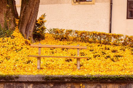 Zagreb historic upper town autumn view. High quality photoの写真素材