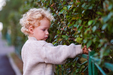 moscow, russia, 09.28.2024 A little boy with curly blonde hair reaching out to touch green leaves on a bush. Child exploration and discovery concept.の写真素材