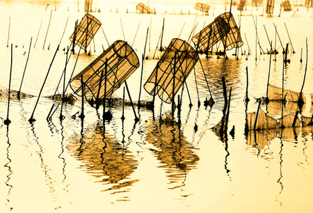 Rolled up nets on polesの写真素材