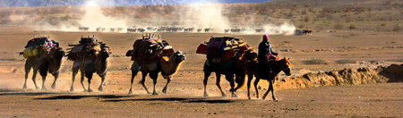Person riding on camel in desertの写真素材