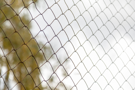 Metal mesh netting on blurred backgroundの写真素材