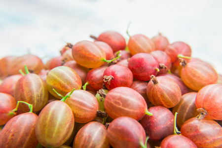 Red gooseberries on blurred background. Vitamin products.の写真素材