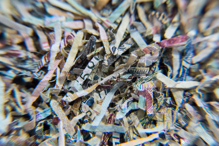 Shredded banknotes. Recycling paper money Bank Russia. Paper texture.の写真素材