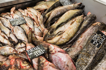 Fresh raw fish on the supermarket counter. River fish.