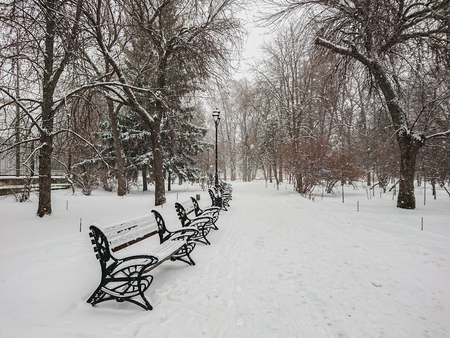 Winter landscape. City Park. Snow and snowfall. People walk.の写真素材