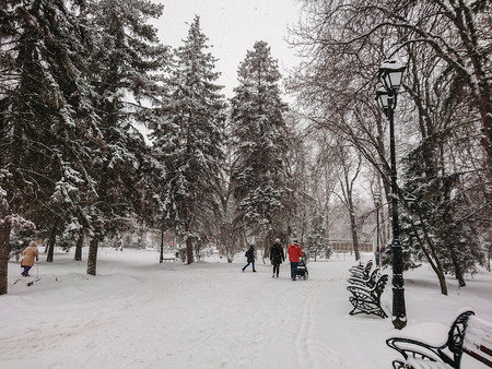 Winter landscape. City Park. Snow and snowfall. People walk.の写真素材