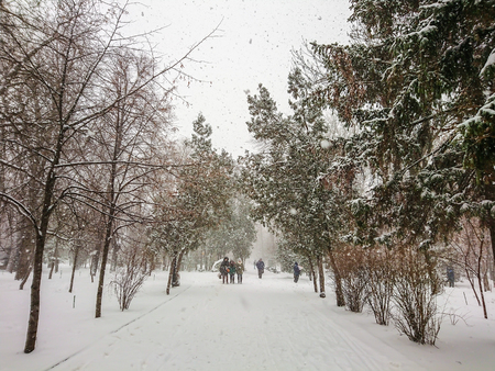 Winter landscape. City Park. Snow and snowfall. People walk.の写真素材