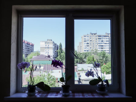 view from the window. Urban landscape: residential area, multi-storey and private houses, blue sky. Indoor plants on the windowsill.の写真素材