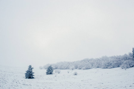 Snow moutain landscape during winter at Puy-du-Pariou, in Auvergne, Franceの写真素材