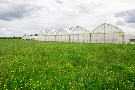 View of greenhouses in the countrysideの写真素材